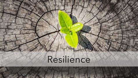 Developing Resilience! My Story of Trauma, Survival, and Strength ...