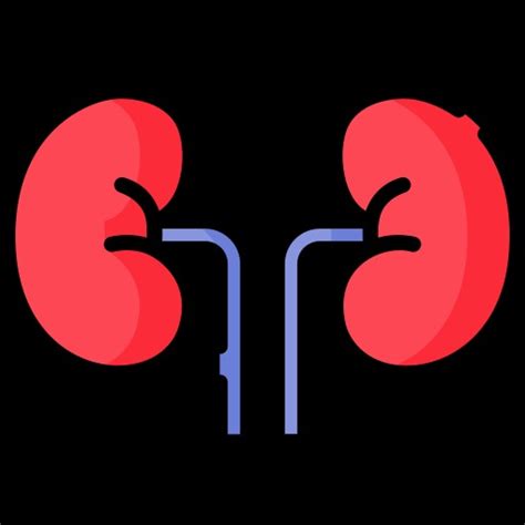 Given typical male metabolic rates, how does a fluctuating hydration status influence their ability to efficiently metabolize fats for energy during prolonged physical activity?