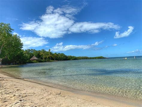 Best versatile shoes for work, gym & date night?