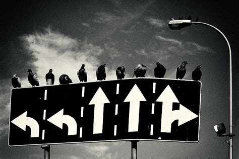 How to make informed consumer choices – HSC PDHPE