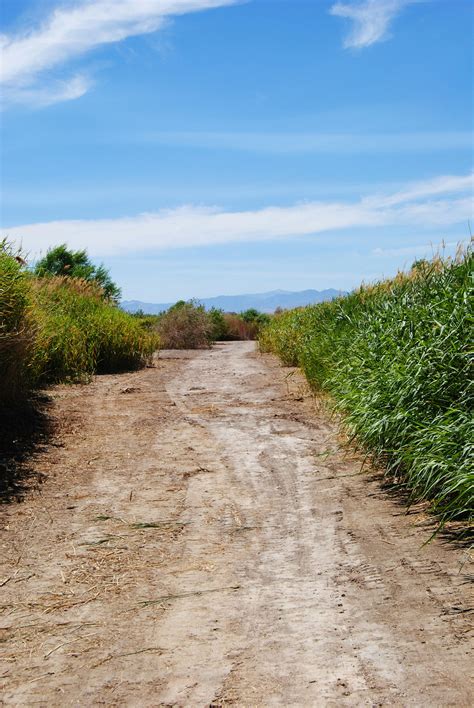 Catalog Path Photos, Download The BEST Free Catalog Path Stock Photos ...