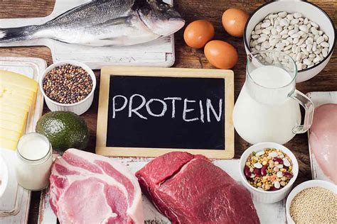 10 Types of Protein Powder: Nutrition, Amino Acids, and Bioavailability