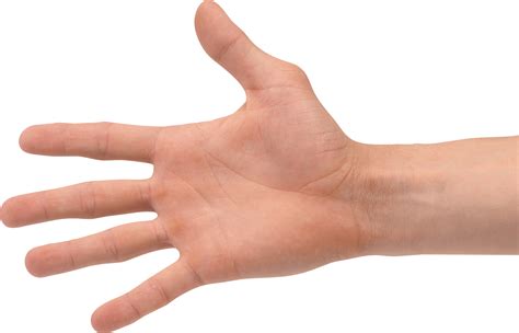 The Handy Hand Hand