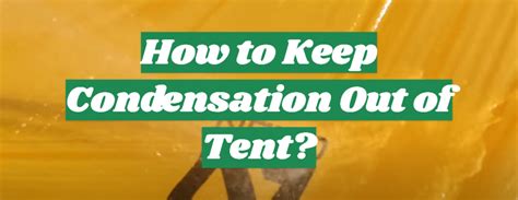 How to Keep Condensation Out of Tent? - OutdoorProfy