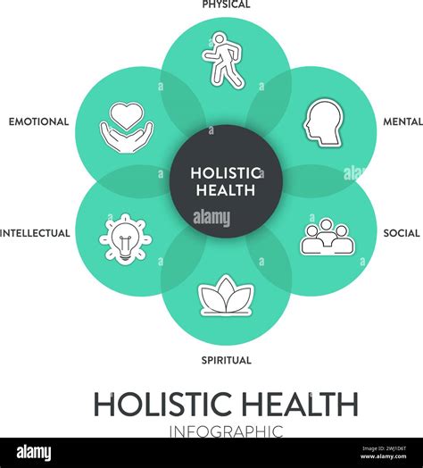 Holistic Health framework infographic diagram chart illustration banner ...