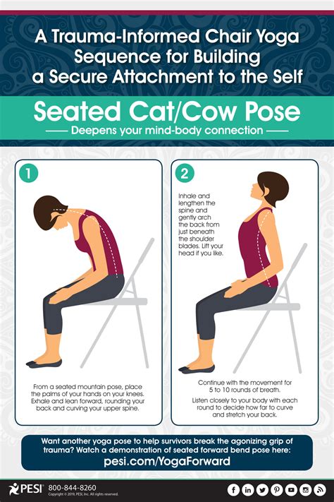 How To Do Seated Cat Cow - GUWRGE