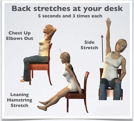 Best stretches for desk job lower back pain relief?