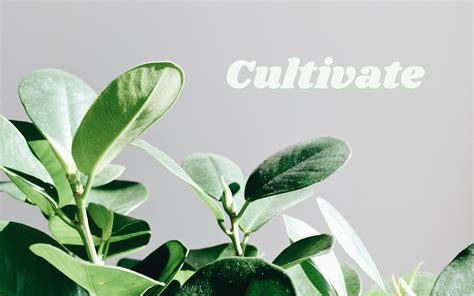 How to cultivate resilience for financial stress & fitness plateaus?