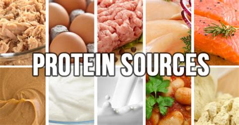 10 Top Affordable Protein Sources | Fitness Workouts & Exercises