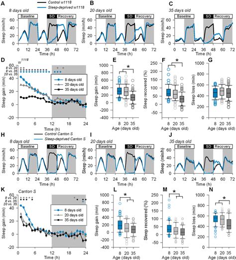 How to optimize sleep for men’s cognitive function and recovery?