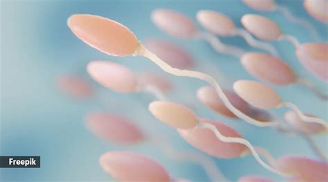 Sperm donation: From process to benefits, all your questions answered | Health News - The Indian ...
