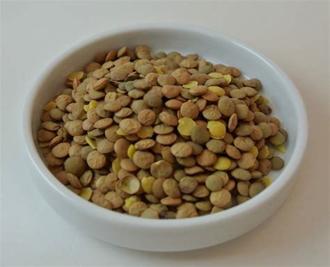 Plant Proteins - SOUND DIETITIANS LLC