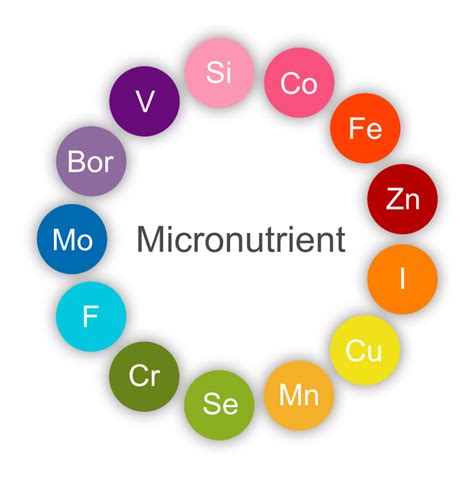 Total Toxic Burden &amp; Environmental Panel | Vibrant Wellness
