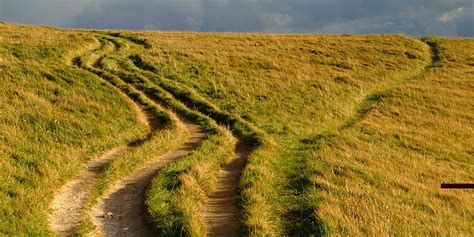 Strategic Thinking - Fluro