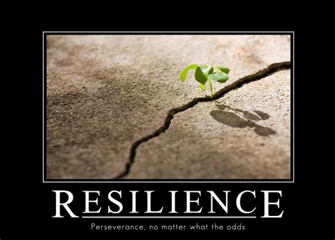 Perseverance Quotes: Find Strength in Resilience