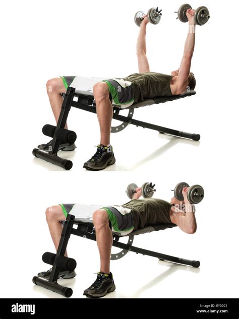 Dumbbell Bench Press Women