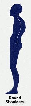 rounded shoulders posture – OnPointFresh