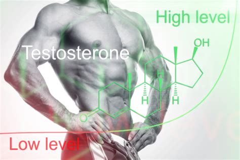 All About Testosterone Frequently Asked Questions and HRT