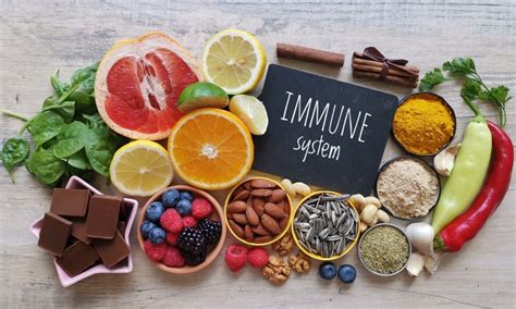 Optimal brain fuel: What foods boost focus and productivity all day?