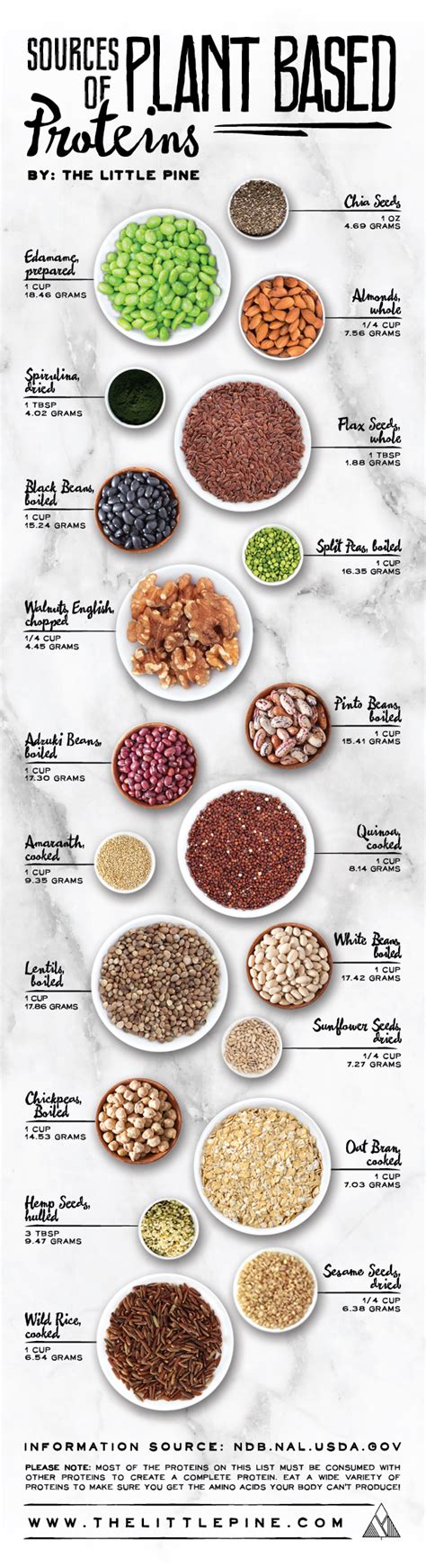 Plant Based Protein Sources - The Little Pine