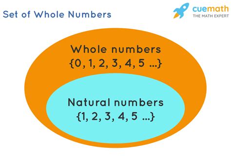 Whole Numbers - Definition | Examples | What are Whole Numbers?