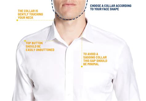 How Should a Dress Shirt Fit: Complete Guide