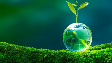 What durable multi-tool or EDC knife offers best value for everyday utility?