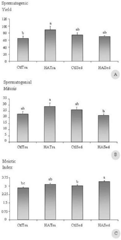 Spermatogenesis dynamics. A. Spermatogenic yield; B. Spermatogonial... | Download Scientific Diagram