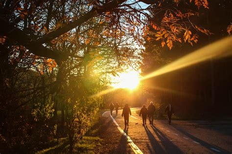 Premium Photo | View of people walking in sunlight
