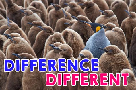 【differenceとdifferentの違いを解説】簡単な覚え方や関連表現を紹介 - ネイティブキャンプ英会話ブログ | 英会話の豆知識や情報満載