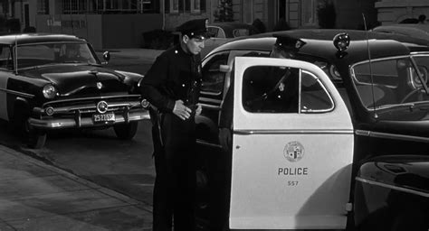 How do successful men balance career goals with a healthy relationship?