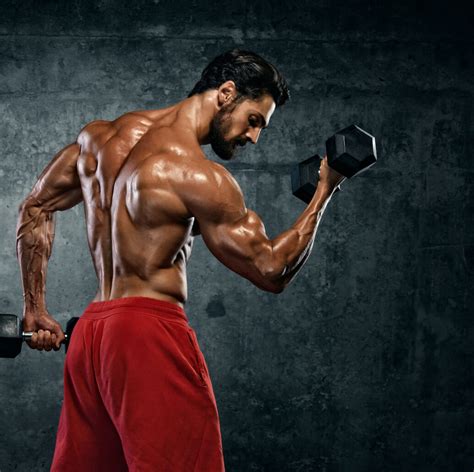 Muscle Building Process - Makeover Nutrition By Veronica Yoo