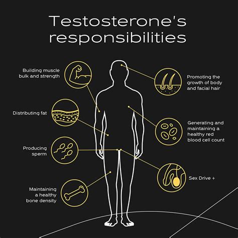 Testosterone Levels By Age: What's Normal?